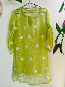 Lucknawi authentic Chickenkari Flared Co-Ord Set