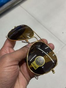 premium shad  qualit