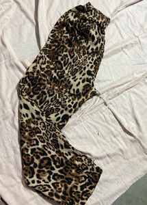 Animal Print Pants