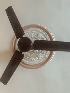 Havells And Orient Fan