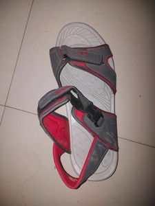Campus Men's Casual Sandal.