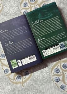Dreamland Billionaires: The Fine Print &amp; Final Off