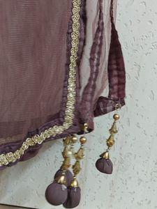 Embroidered  Lehenga
