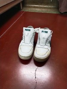 PUMA SkateCat Drift Sneakers (White-Malachite) – M