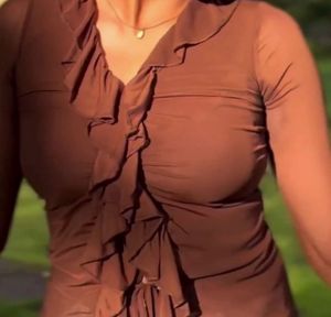 Sheer Brown V neck Ruffle Tie-Front Top