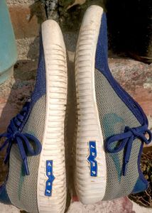 Blue Lace-Up Casual Sneakers