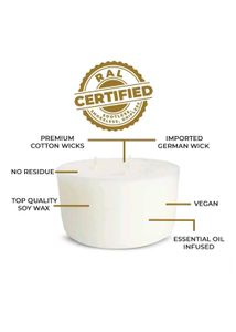 Ekam 3 wick Large Scented Candle