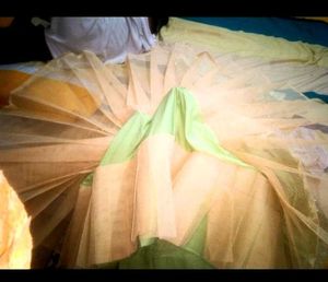 Mint Green Embroidered Lehenga