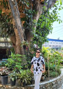 Cow Print Bonkers corner Graphic Tee