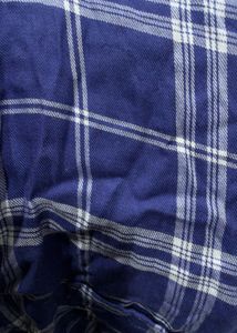 Classic Blue Plaid Button-Up Shirt