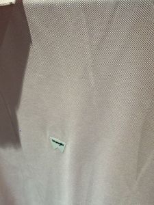 Light Pink Polo Shirt