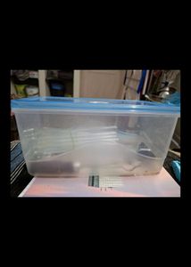 💥Sale ...10 Test Tubes, Holder N Cleaner, Hammer