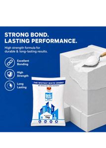Birla White Cement