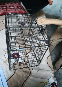 Dog and cat cage
