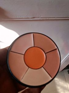 Insight Pro Concealer Pallette