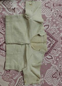 Elegant Pastel Green Saree with matching blouse