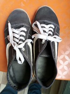 stylish Canvas shoes for men and women student siz