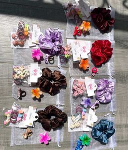 Cute Hair Scrunchies & Clips Set of 6