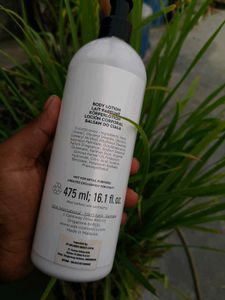 Balmain Paris Body Lotion