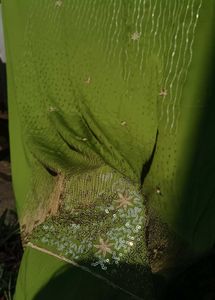 Chatpate Fabric 🫧🌶️