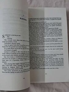 Kiss the Villain by Rina Kent Book