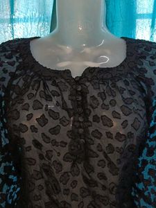 Elegant Black Sheer Blouse
