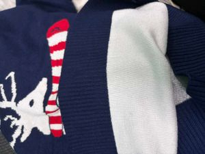 GAP Reindeer Holiday Sweater