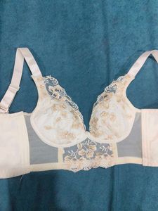 Elegant Embroidered Lace Bra