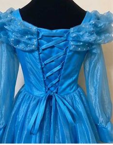 Enchanting Cinderella Blue Ball Gown