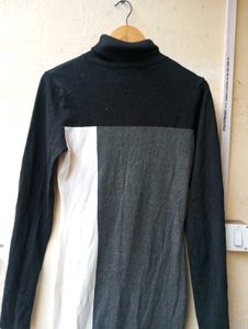 Bodycon ColorBlock Turtleneck Dress (Women)