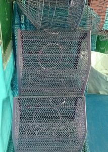 Parrot  Birds Rabbit Cat Etc Cage Pijara Cag