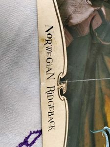 RARE HARRY POTTER Dragon Illustration Poster