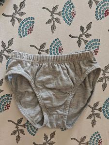 Cute Dinosaur Boys' Briefs - 2 Pack