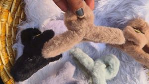 Korean Fur Hair Clutchers For Girls Pack Of 2