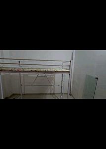 Loft Bed with Integrated Desk