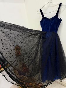 Elegant Velvet &amp; Tulle Dress