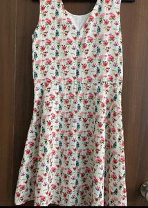 Floral Print Sleeveless Dress