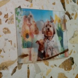 3D Cute Doggy Card 😍❤️