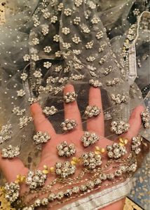 Embellished Saree