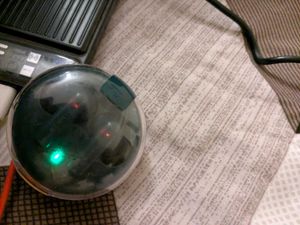 Hammer True Wireless Earbuds