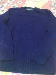 School  sweater for boys