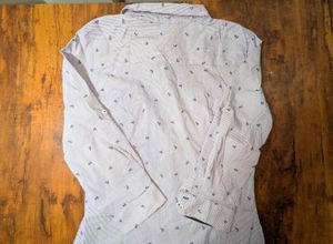 Zara Basic Blue Striped Printed Shirt