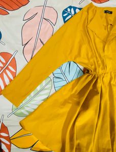 Mustard Yellow Fit and Flare Dress