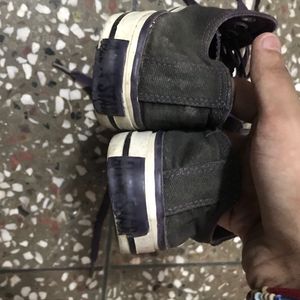 Converse All Star Sneakers