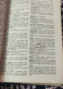 The Little Oxford Dictionary