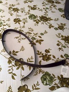 H&amp;M Brown Belt with Gold Buckle