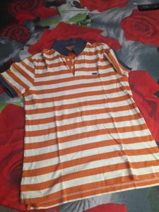 Men polo tshirt