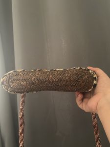 Animal Print Satin Cane Bag