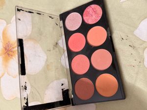 Blush Palette from makeup revolution