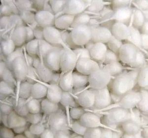 500 Classic Puja wicks with outstanding quality